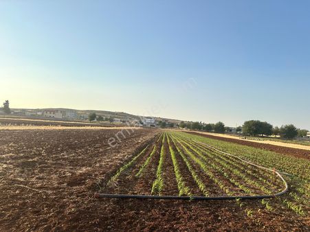 Mesken Emlak'dan Sarıt Mah Resmi Yol Üzeri Bağevlik Arazi