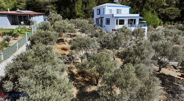 Layda'dan Buca Belenbaşında Satılık Tek Tapu