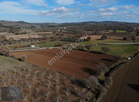 Çanakkale Ezine Akköy'de Satılık Asfalt Cepheli Kupon Tarla