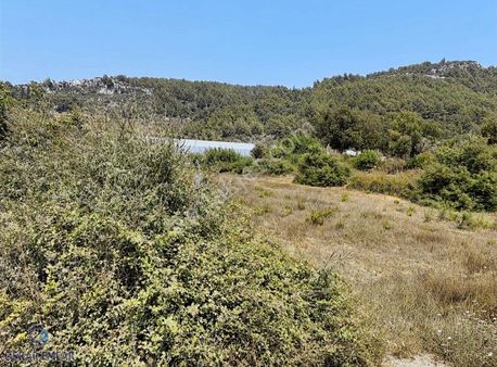 Uzunlar Mahallesinde Asfalt Yola Cephesi Olan Tarla