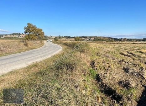 Çanakkale Ezine Merkeze Yakın Asfalt Cephe Satılık Tarla