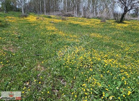 Erkuş'tan Çal/hançalar'da Menderes Nehrine 170 Mt Fırsat Arazi