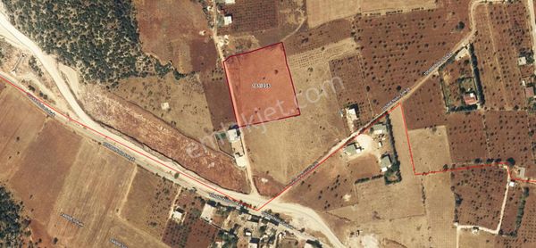 Hanedan Gyo'dan Ağaçlıboyno'da Satılık 1/2 Hisseli Arazi