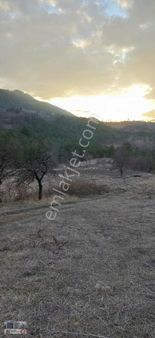 Asvalt Cepe Kelepir Arsa