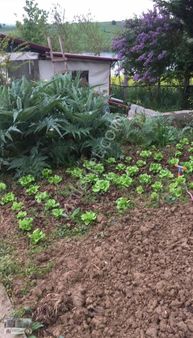 Sevindikli Barajının En Gözde Yeri Cideli Emlak