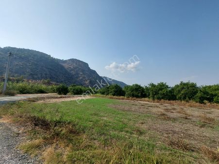 Ortaca Karadonlar’da 4.500 M² Bakımlı Limon Bahçesi Satılık