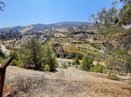 Yenidemire Yakın Andırın Yolu Üzerinde Satılık Bağ