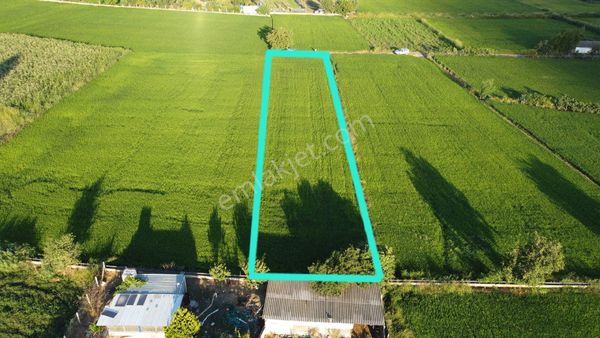 Gönen Kurtuluş'ta Satılık Çeltik Tarlası