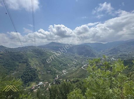 Trabzon Akyazı'da Satılık Villalık 7.300 M2 Fırsat Arsa