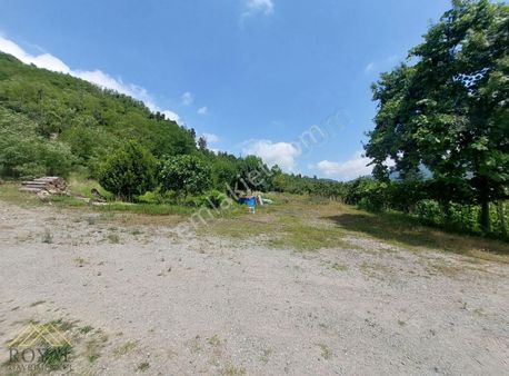 Kiralık 1500 M2 Arazi Trabzon Ortahisar Gözalan Mahallesi