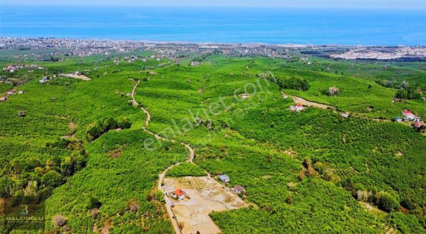 Balcıoğlundan Satılık Deniz Manzaralı İmarlı Yapı Ruhsatlı 548m2