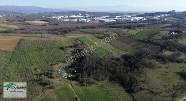 Sakarya 3. Osb Genişleme Sahası Sınırında Satılık Arazi