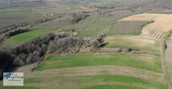 Söğütlü Organize Sanayi Genişleme Alanı Sınırında Satılık Arazi
