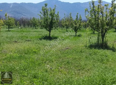 Varsak Yaylası 14.533 M2 Kupon Tarla ...