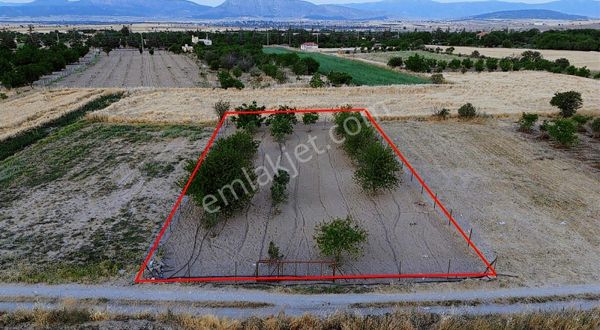 Antalya Korkuteli Yeltende Sakin Bölgede 904 M2 Sulak Bahçe