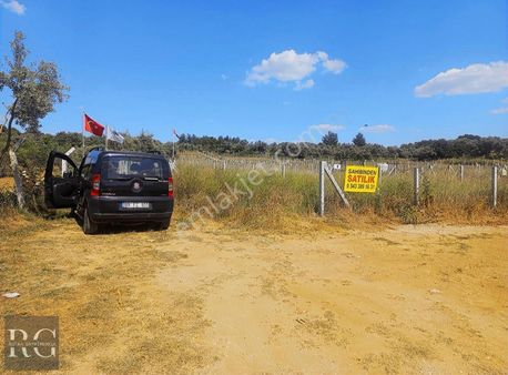Rotaa Gayrimenkulden Ormanköyde Mirastan Bölme Satılık Zeytinlik