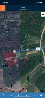 Ferizli Bakırlı Mahallesinde 9.476 M2 Satılık Fındık Bahçesi