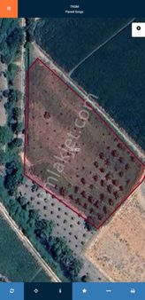 Mega Emlaktan Satılık Fırsat Tarla