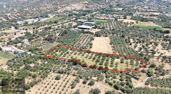 Küçük Menderes'ten Ödemiş Birgi Mh. Müstakil Ev İncir Bahçesi