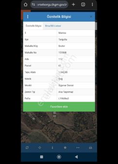 Turgutlu Eymen Emlak'tan Bozkır Köyü Satılık Zeytinlik