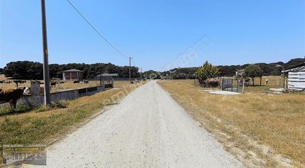 Çerkezköy Ambardere Villa Arsası