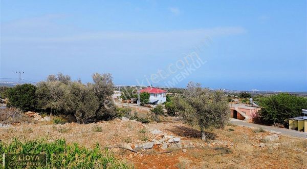368+368 M2 Den Oluşan 2 Adet Villa İmarlı Arsa