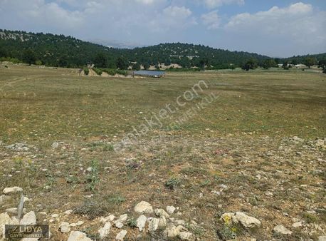 Lidya'dan Güzeloluk'ta 500 M2 Satılık Tarla