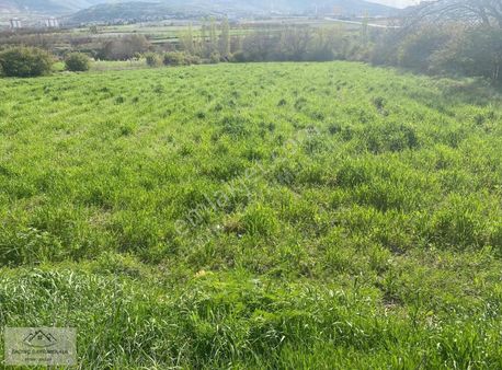 Bulgurluda Yatırımlık Kupon Arsa