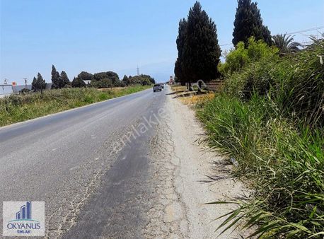 Salihli De 10.000 M2 Sanayi İmarlı Arazi, Yola 67 Mt Cepheli