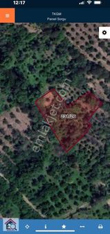 Bilecik İnhisar İlçesinde İmar Yakını Satılık Bahçe