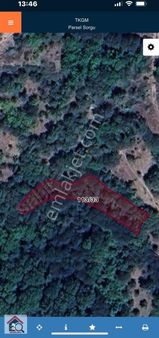 Bilecik Söğüt Tuzaklı Köyünde Satılık Bahçe