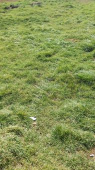 Çatalca Gökçealide 9,800m Satılık Düşeş Kazandıracak İmarlı Arsa No:285