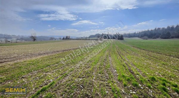 Semih'den Gökçesuda Yolu Suyu Başında Bölgeninin En Uygunu