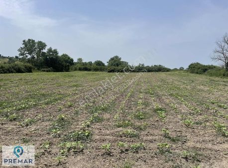 Tekirdağ Saray Küçükyoncalıda Köye Yakın Tek Tapu 4645 M2 Tarla