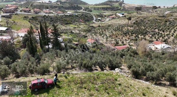 İnfo Gayrimenkul Karavca Mah Satılık Tarla 1.514 M2