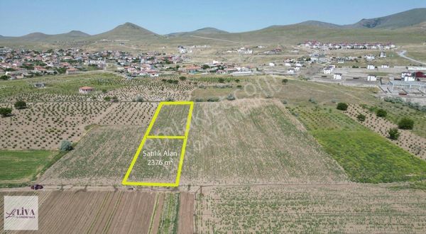 Liva'dan İncesu Örenşehir'de Çevre Yola Yakın 2376 M² Bağ