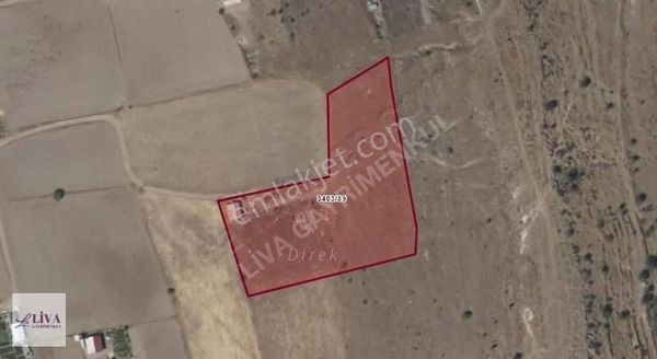 Liva'dan Reşadiye'de 240 M² İmar İçerisinde Hisse