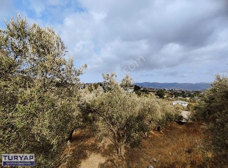 Çekmece Ballıöz Yolunda Satılık Villalık Parsel