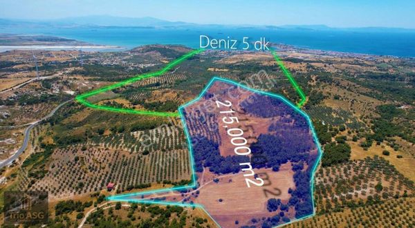 Trio Asg'den Dikili Çandarlıda Yatırımlık Kooperatif Hissesi