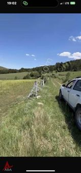 Bilecik Gölpazarı Türkmende Köye Yakın Cevizlik