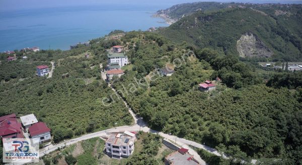 Trabzon Gayrimenkulden Arsinde Satılık Deniz Manzaralı Arsa