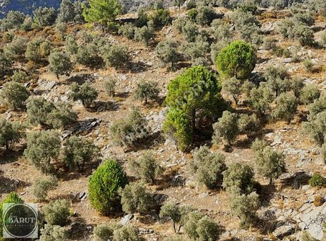 Akçalı Mahallesi Kaçırılmayacak Fırsat