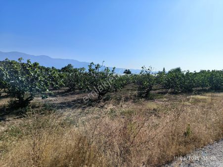 Bursa Gürsu Kazıklıköyü Mahallesi 4145 M2 Trenyolu Karşısı Tarla