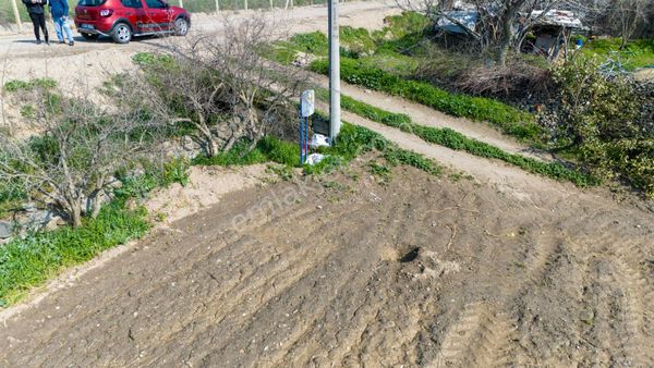 Kuyucak Pamukören ' De Satılık Hobi Bahçesi