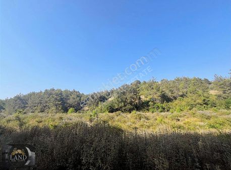 Uzunkalede 13 Dönüm Yola Cephe Tarla