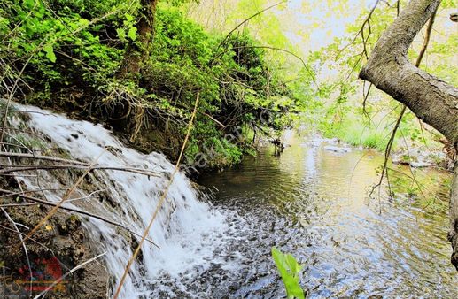 El/ya Ataköy'de Orman İçerisinde 14163 M2 Çam Ağacı + Su