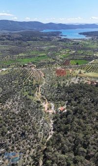 Muğla Milas Kazıklı'da Full Deniz Manzaralı 672 M2 Zeytinlik