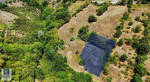 Kenan Köse'den Atakum Kurugökçe'de Satılık 1000 M2 Tarla