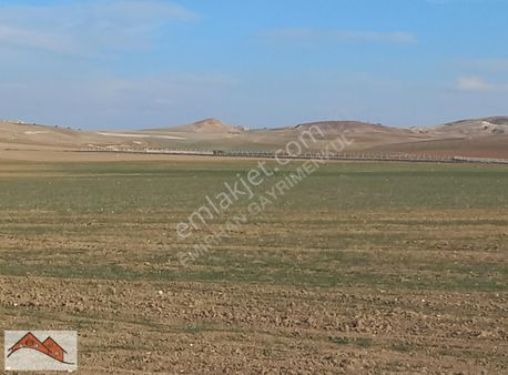 Satılık Arsa Çayraz Mevki Gölbaşı Ankara