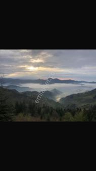 Trabzon Çaykara Uzungöl Çevresi Yatırımlık / Turistik Satılık Arsa / Tarla